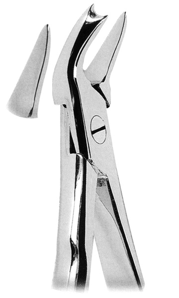  Extracting Forceps with Anatomically Shaped Handl