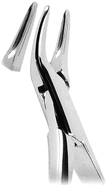  Extracting Forceps American Pattern