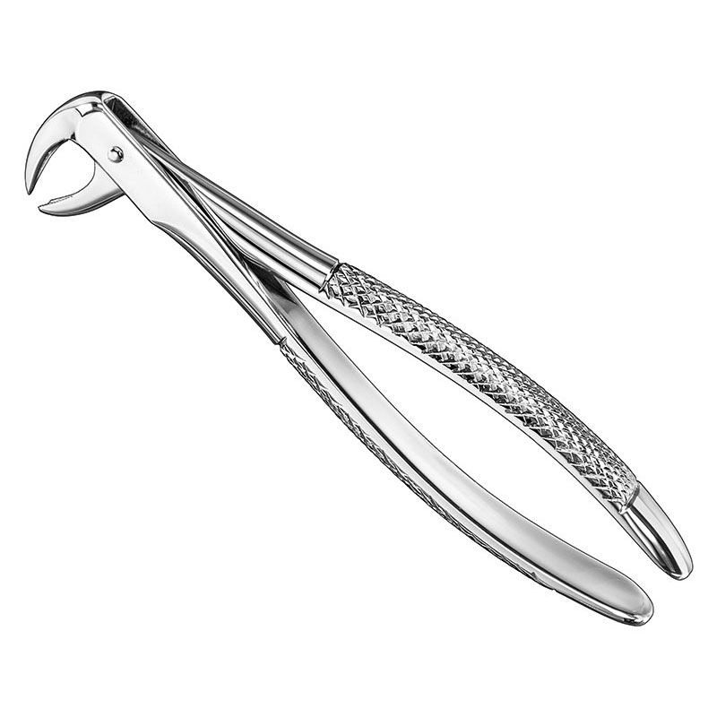 Extracting forceps, engl.